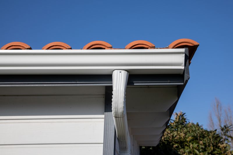 Gutter and Roof Line