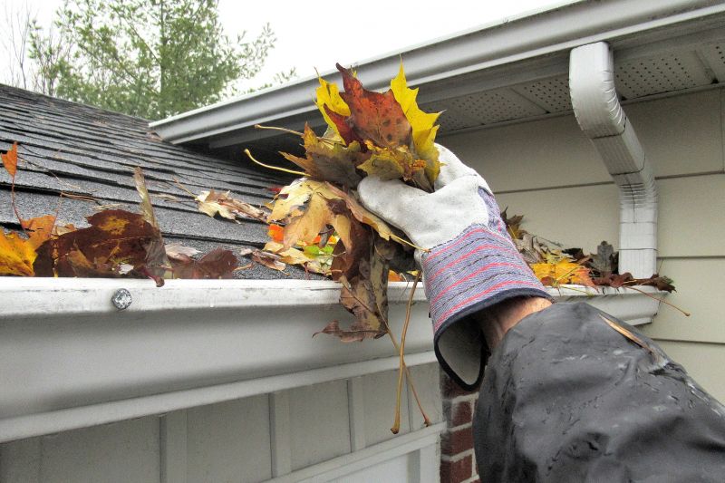 Gutter Maintenance Image 5